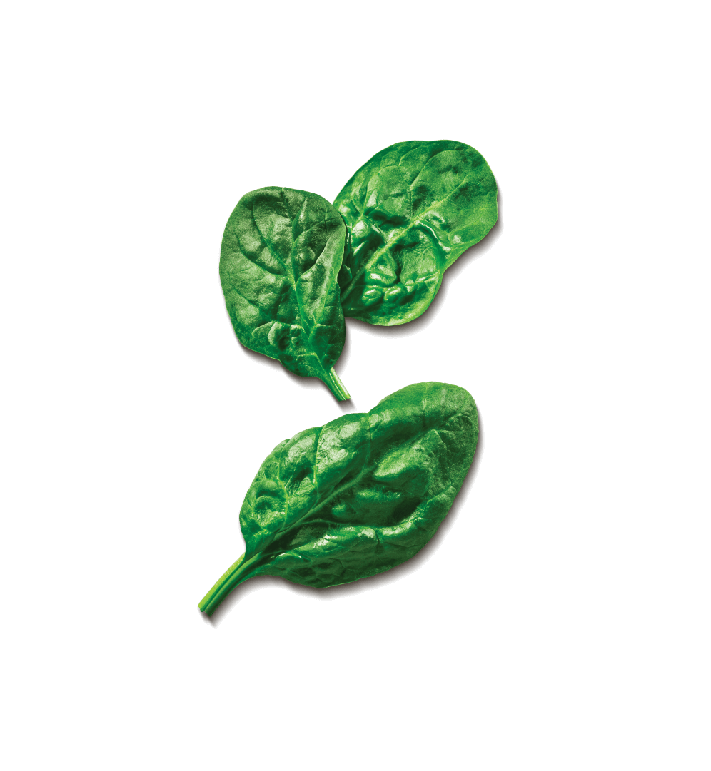 spinach